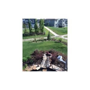 Meet your Posher, Joan